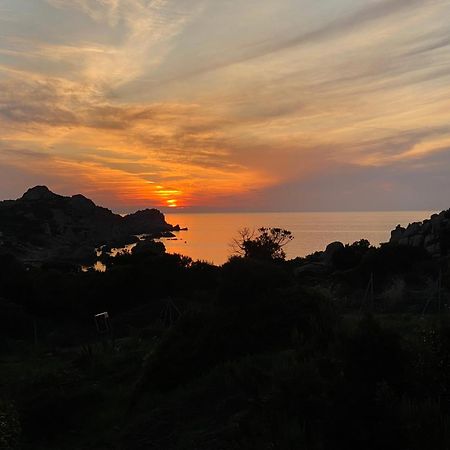 Gli Oleandri Di Calarossa - 5M Walk To The Beach อิโซลา โรสซา ภายนอก รูปภาพ
