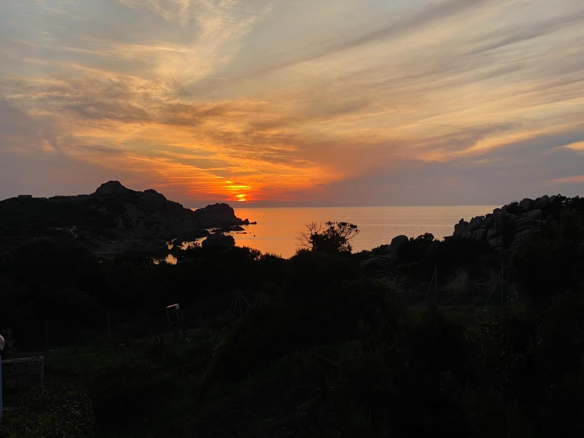 Gli Oleandri Di Calarossa - 5M Walk To The Beach อิโซลา โรสซา ภายนอก รูปภาพ