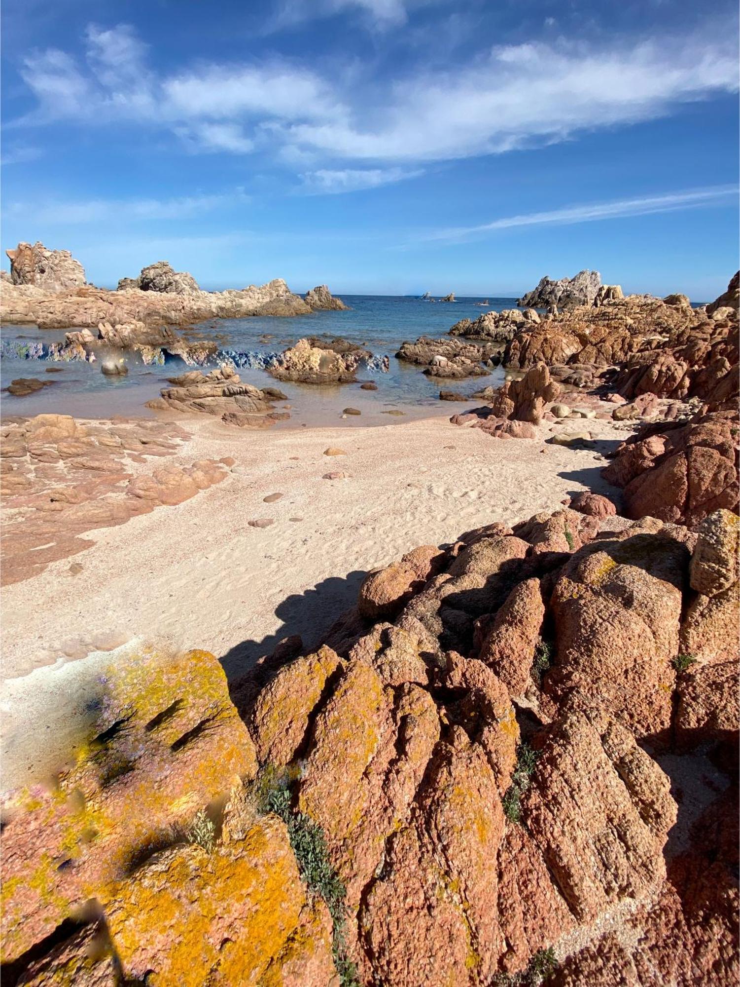 Gli Oleandri Di Calarossa - 5M Walk To The Beach อิโซลา โรสซา ภายนอก รูปภาพ