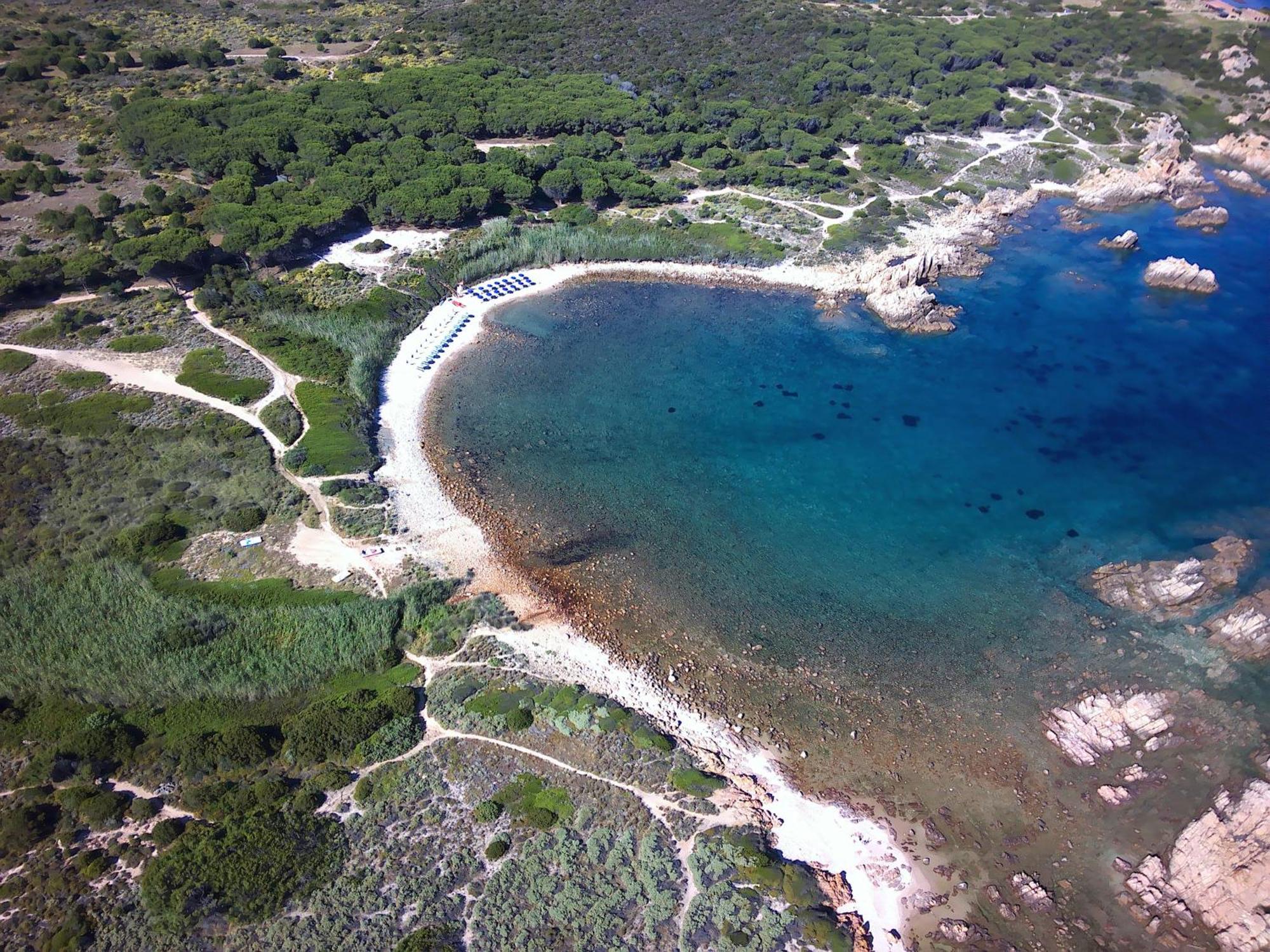 Gli Oleandri Di Calarossa - 5M Walk To The Beach อิโซลา โรสซา ภายนอก รูปภาพ
