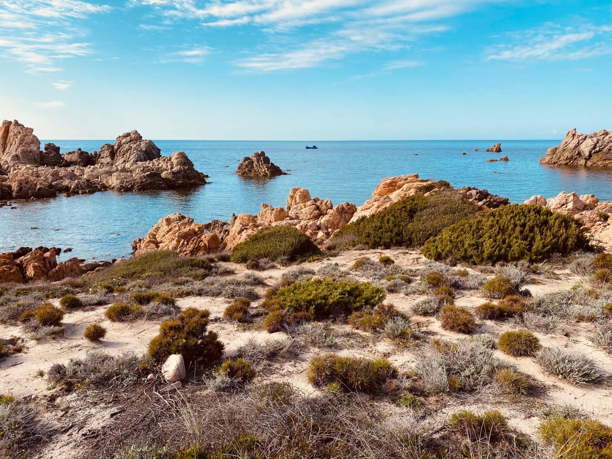 Gli Oleandri Di Calarossa - 5M Walk To The Beach อิโซลา โรสซา ภายนอก รูปภาพ